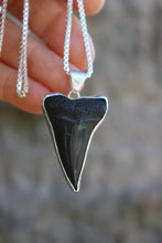 Load image into Gallery viewer, The Mako