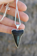 Load image into Gallery viewer, The Mako
