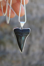 Load image into Gallery viewer, The Mako
