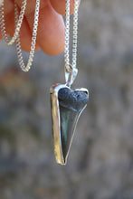 Load image into Gallery viewer, The Mako
