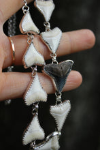 Load image into Gallery viewer, PRE-ORDER: Shark Bite Choker Necklace

